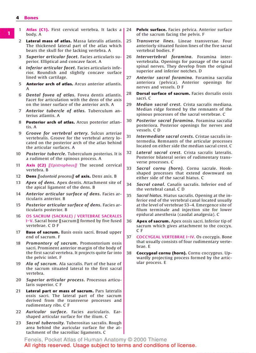 image for page Pocket Atlas of Human Anatomy Based on the International Nomenclature