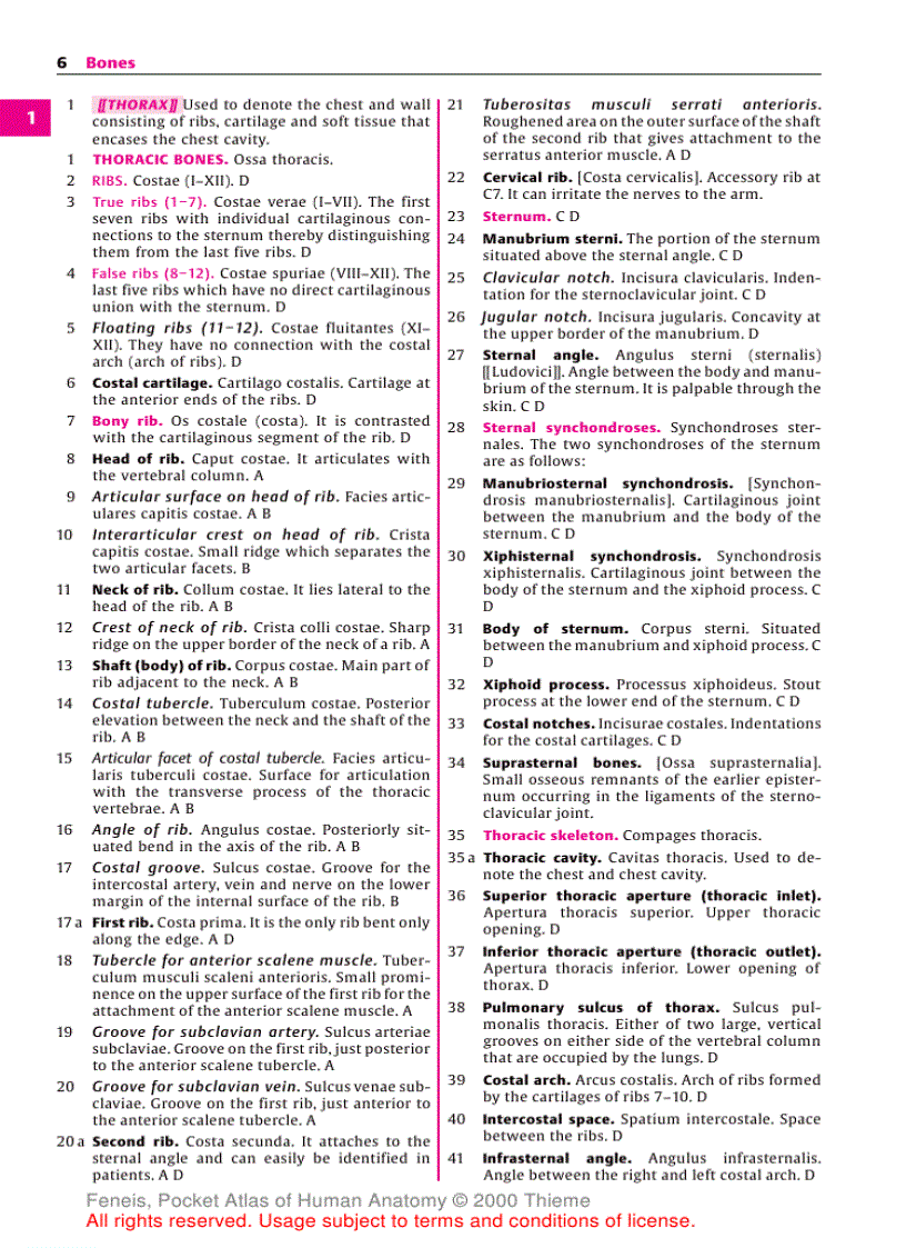 image for page Pocket Atlas of Human Anatomy Based on the International Nomenclature