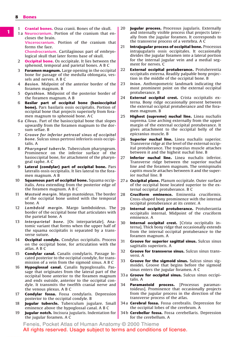 image for page Pocket Atlas of Human Anatomy Based on the International Nomenclature