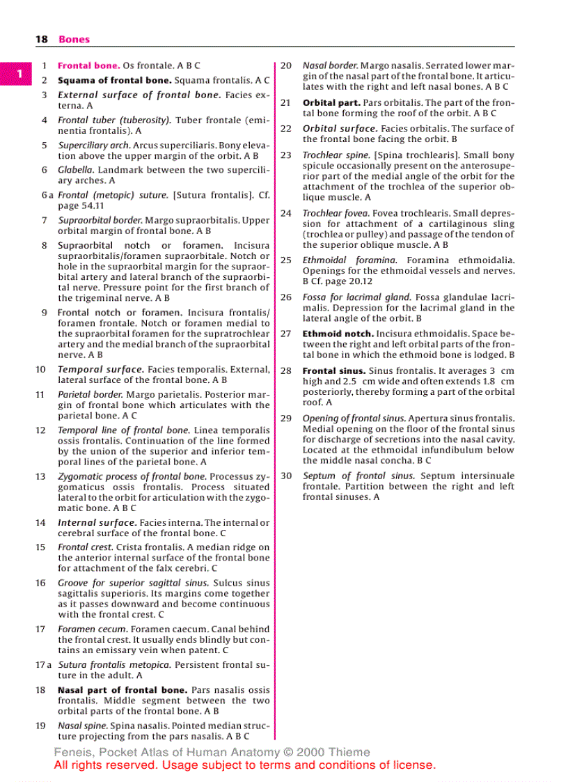 image for page Pocket Atlas of Human Anatomy Based on the International Nomenclature