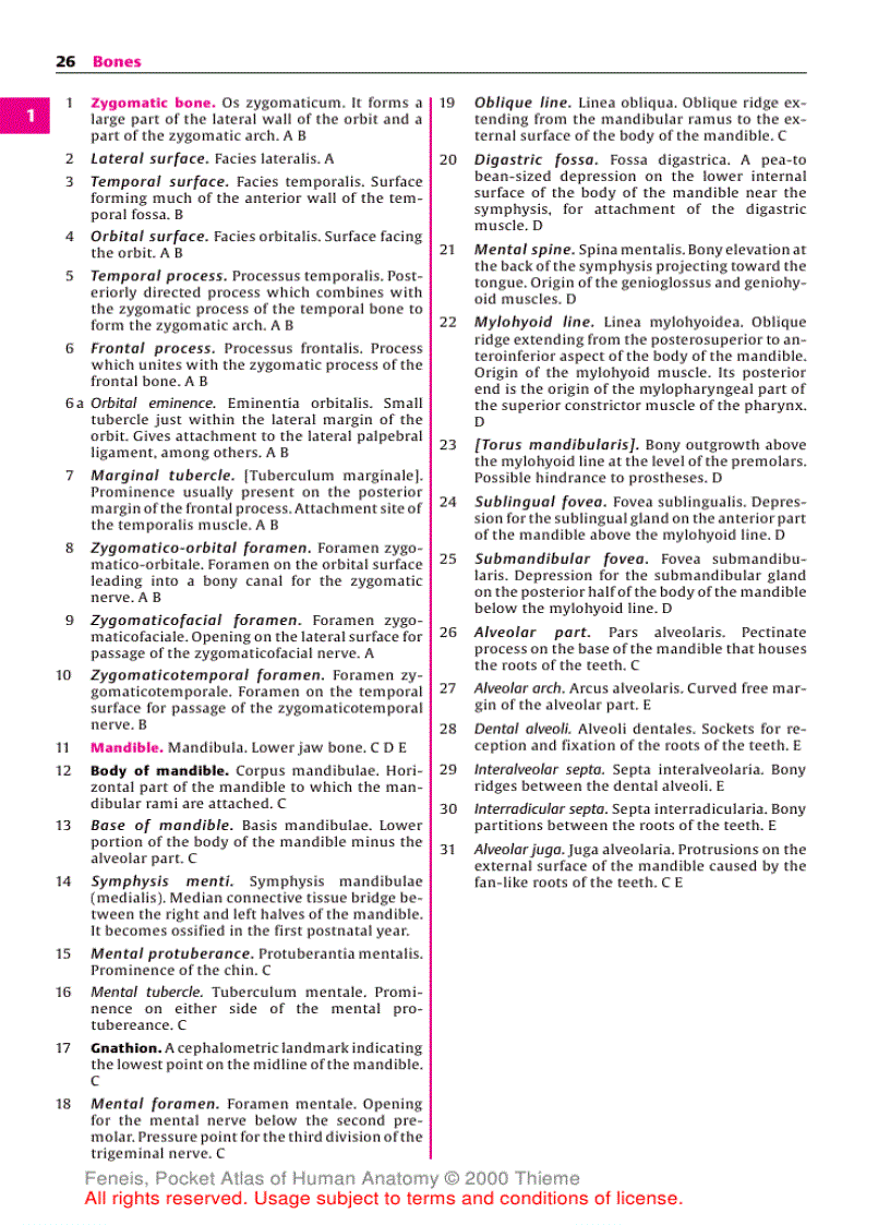 image for page Pocket Atlas of Human Anatomy Based on the International Nomenclature