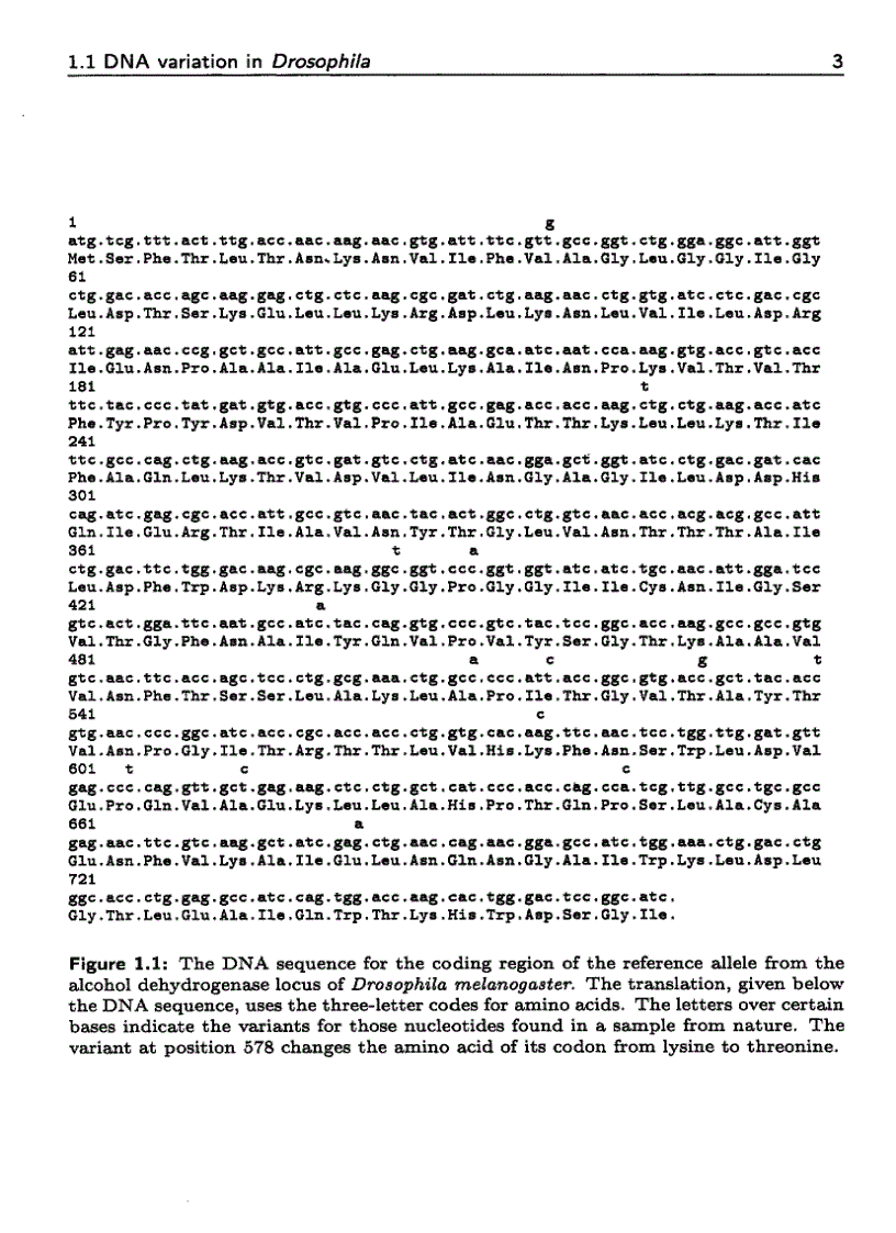 image for page Population Genetics A Concise Guide