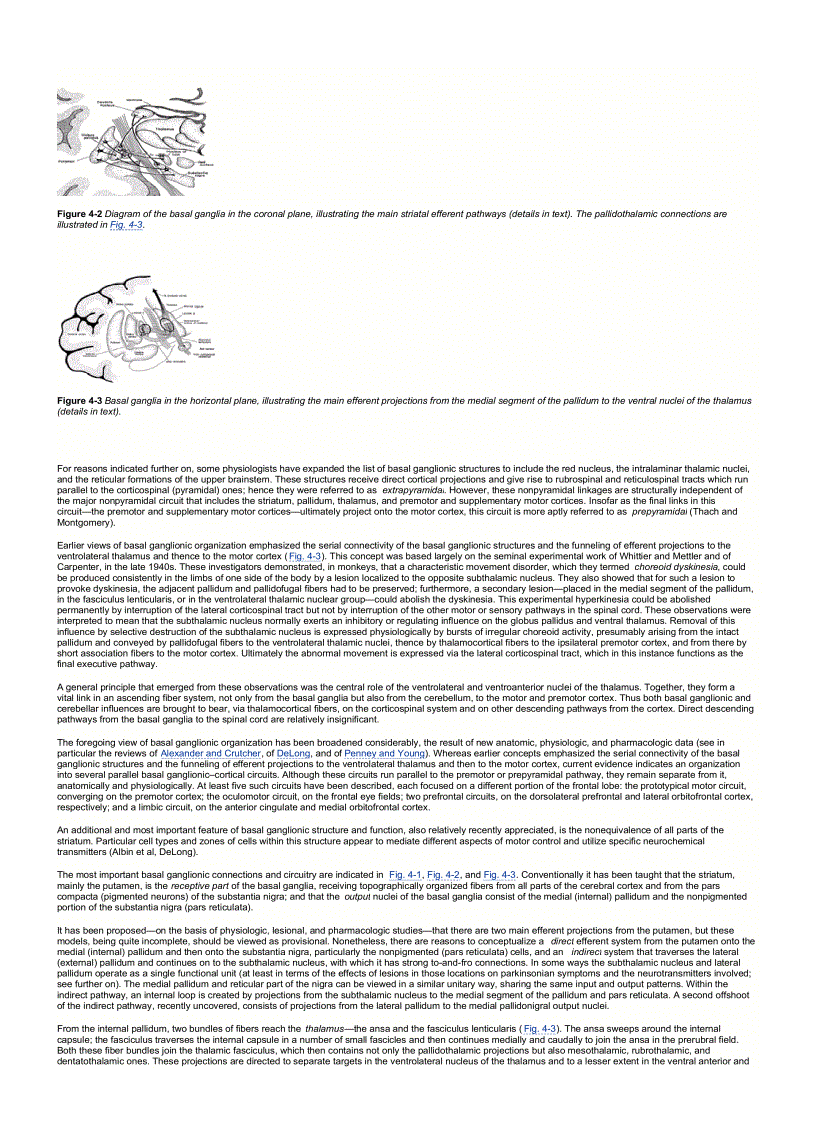 image for page Principles Of Neurology 7th ed