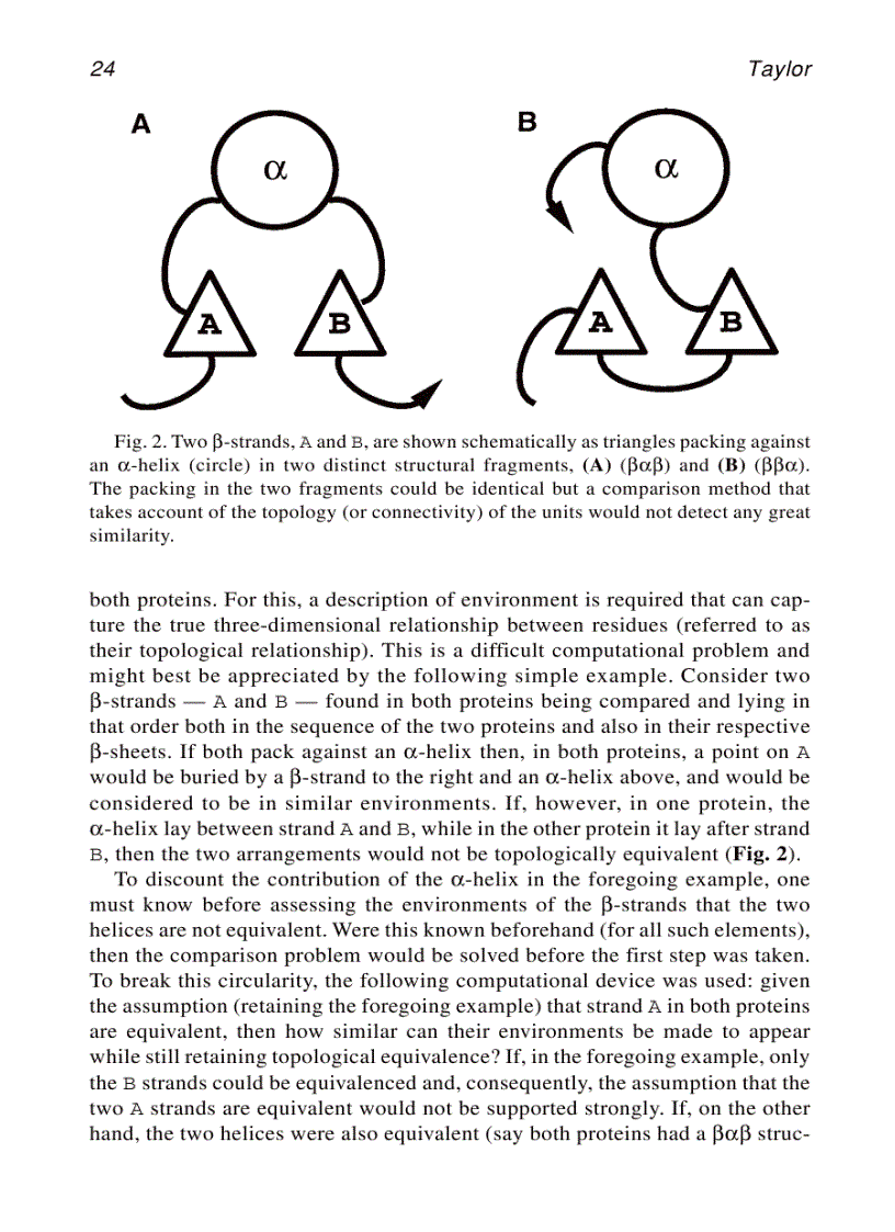 image for page Protein Structure Prediction methods and protocol