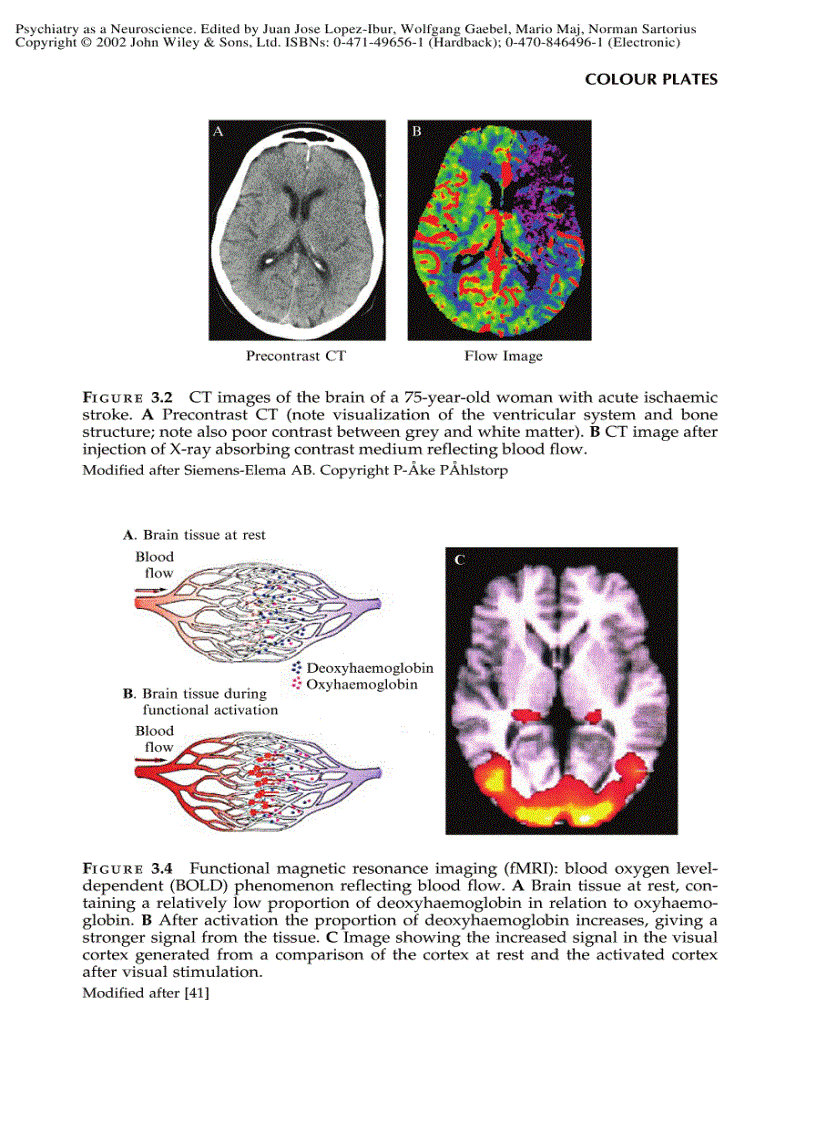 image for page Psychiatry as a Neuroscience