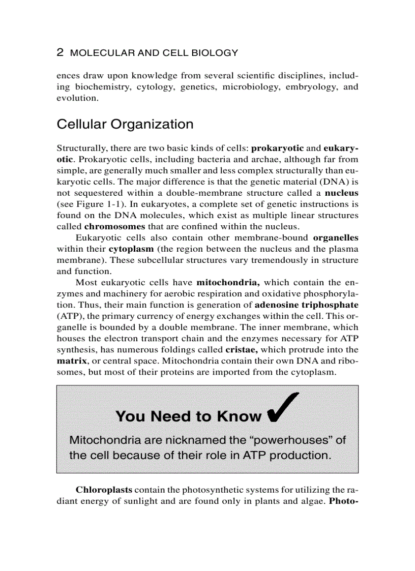 image for page Schaum s Easy Outline Molecular and Cell Biology