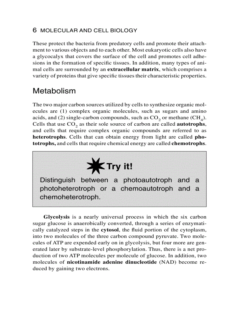 image for page Schaum s Easy Outline Molecular and Cell Biology