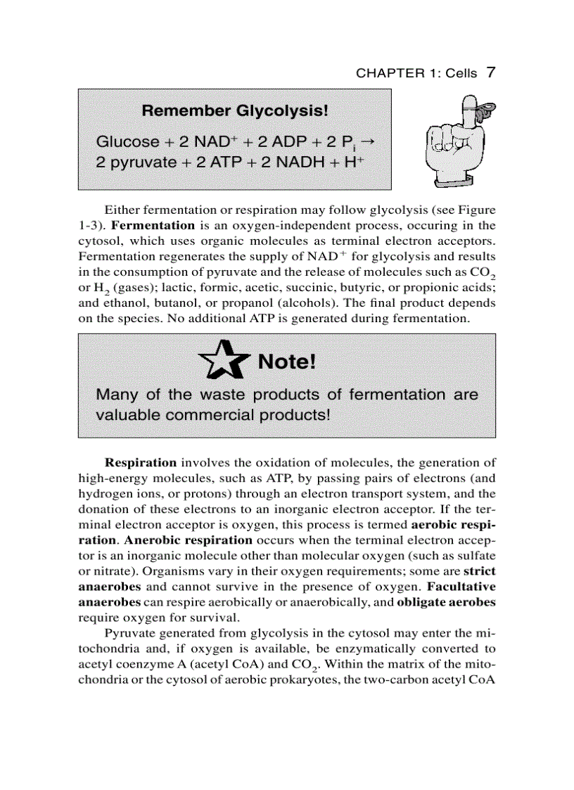 image for page Schaum s Easy Outline Molecular and Cell Biology