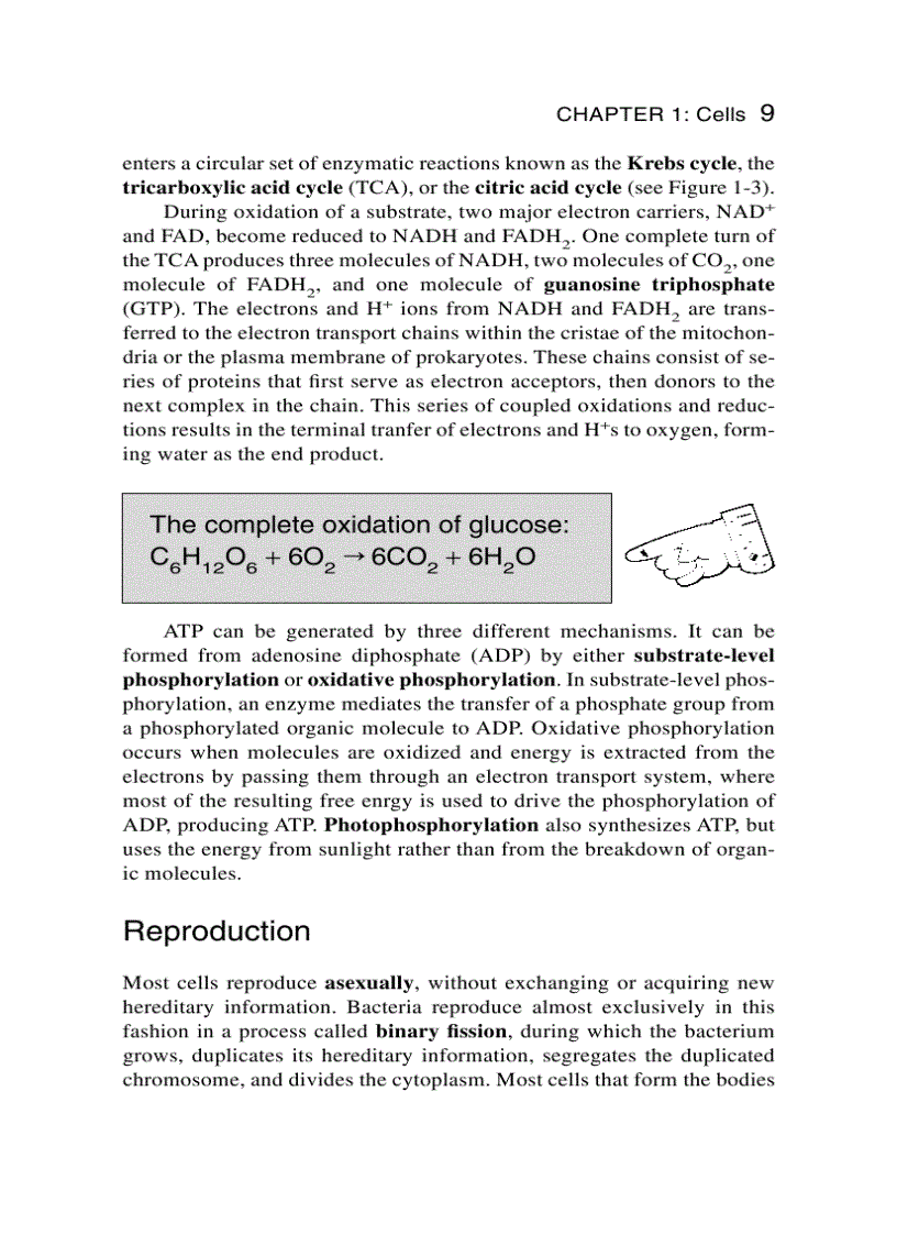 image for page Schaum s Easy Outline Molecular and Cell Biology