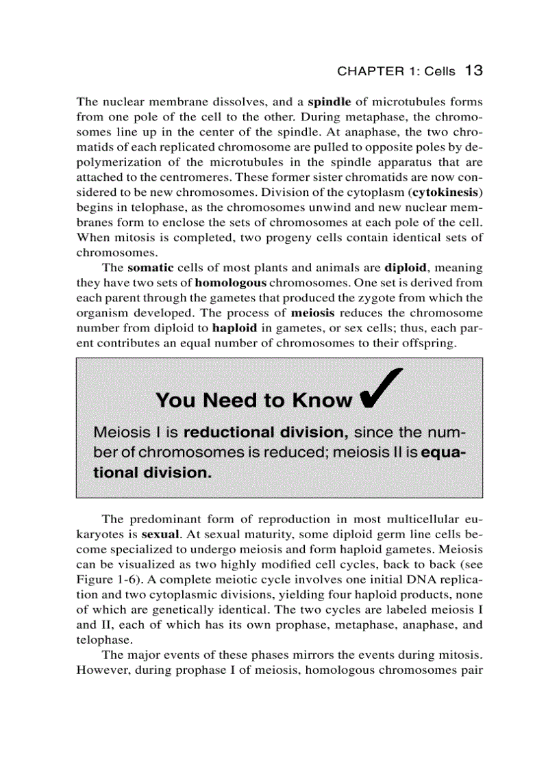image for page Schaum s Easy Outline Molecular and Cell Biology