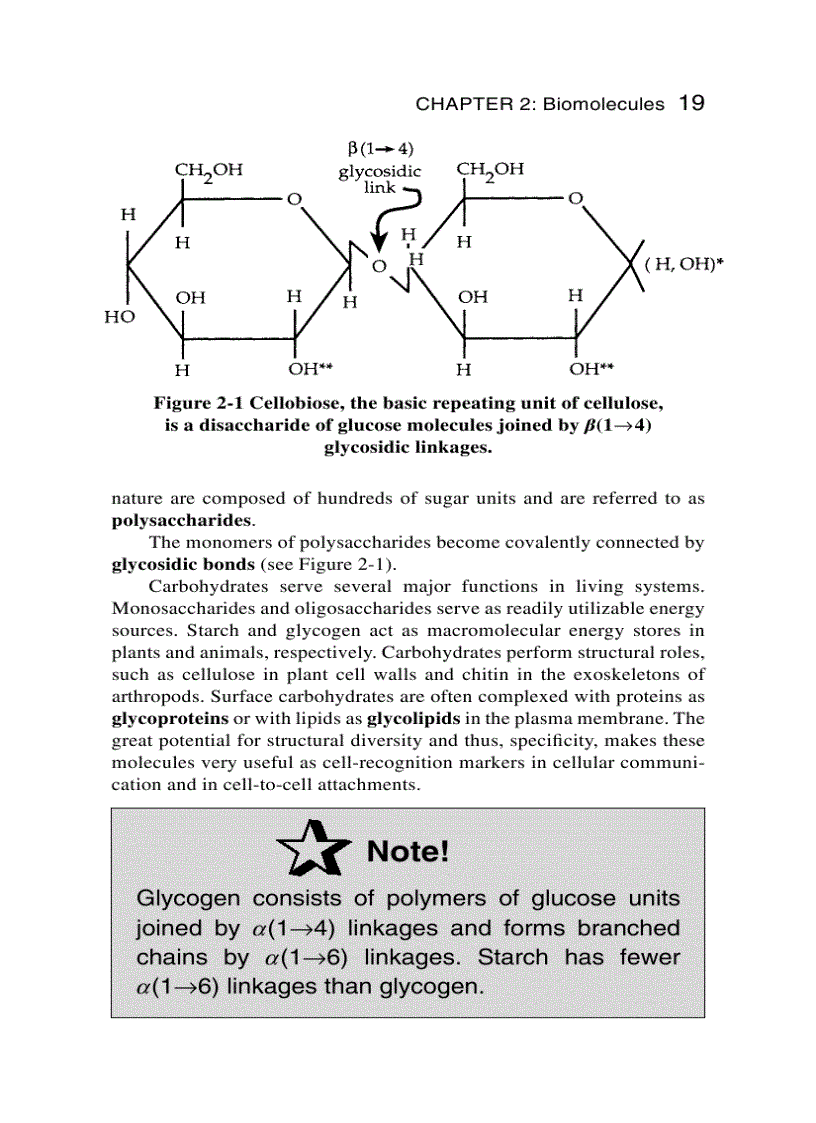 image for page Schaum s Easy Outline Molecular and Cell Biology