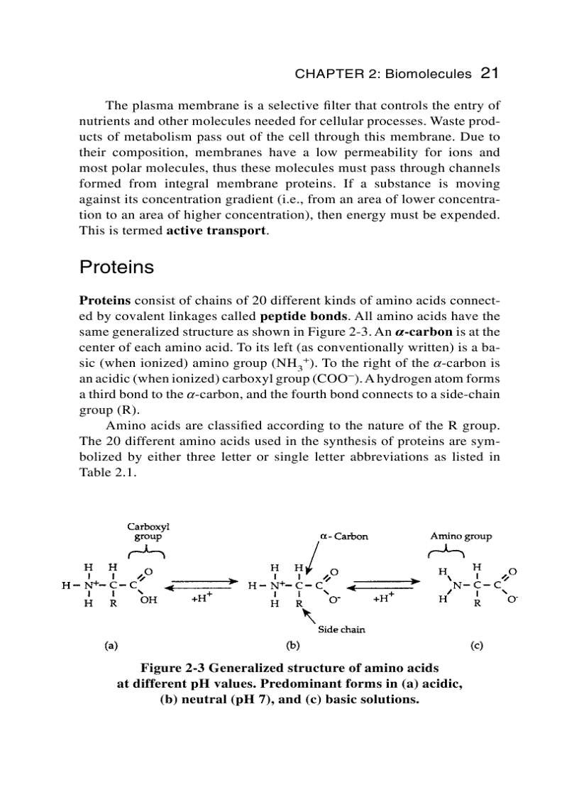 image for page Schaum s Easy Outline Molecular and Cell Biology