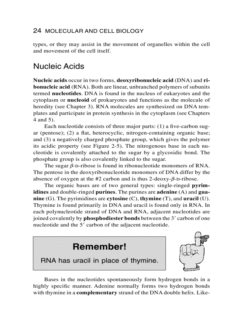 image for page Schaum s Easy Outline Molecular and Cell Biology