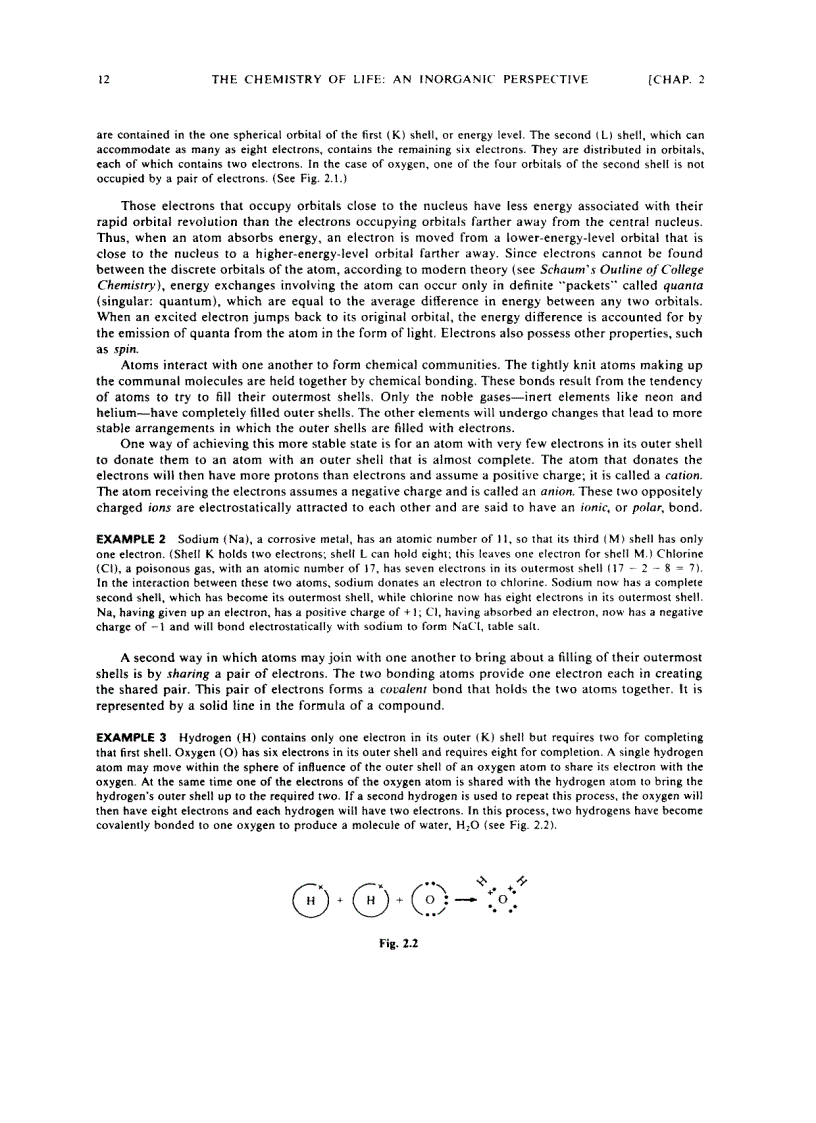 image for page Schaum s Outline of Biology