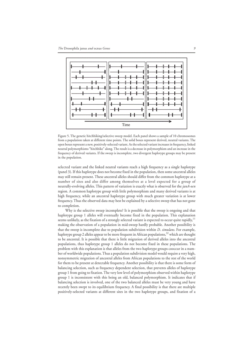 image for page Selective Sweep