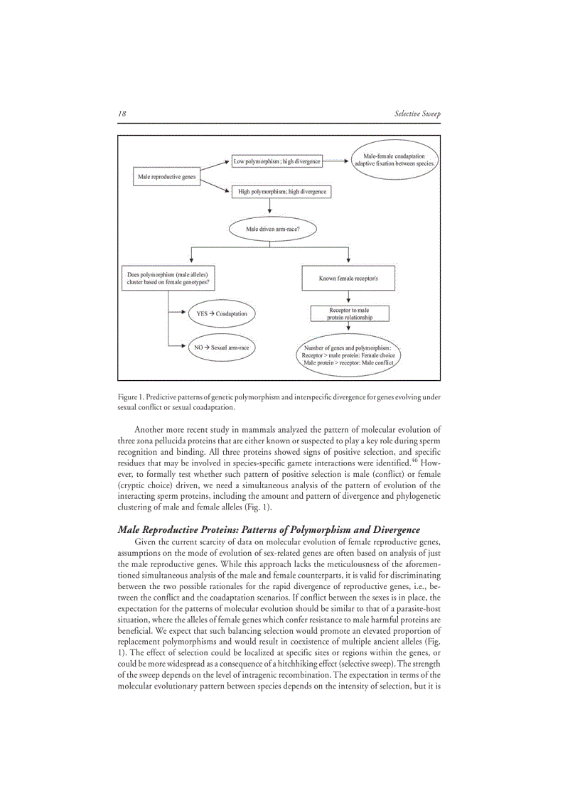 image for page Selective Sweep