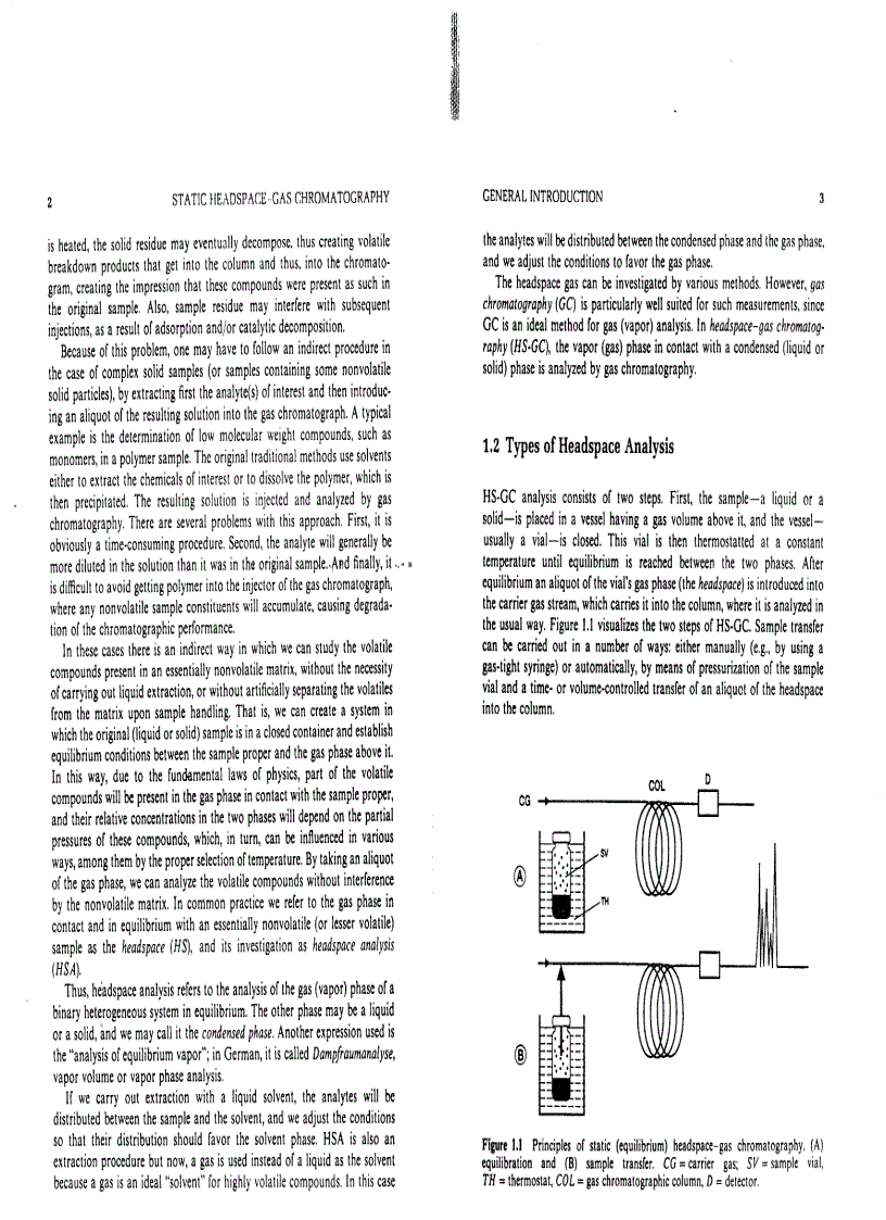 image for page Static Headspace Gas Chromatography Theory and Practice