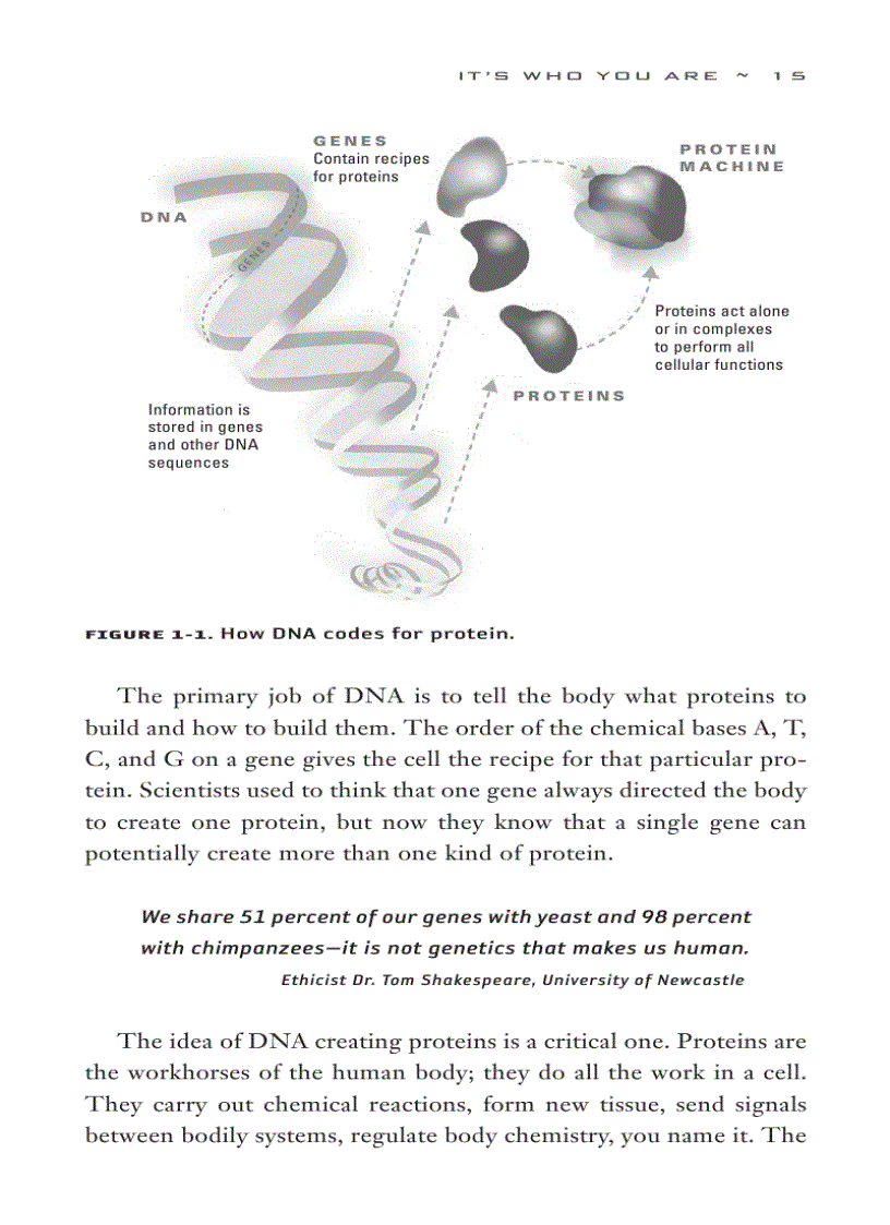image for page The Genomics Age How DNA Technology Is Transforming the Way We Live and Who We Are