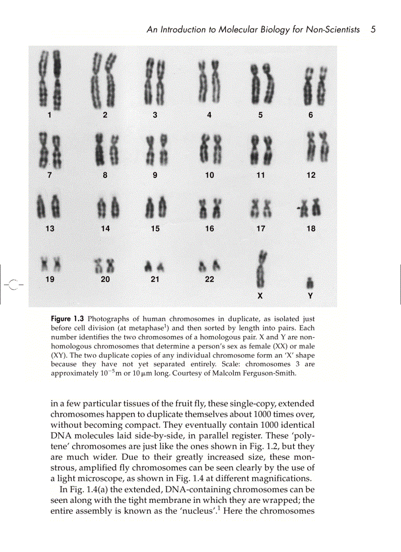 image for page Understanding DNA The Molecule and How It Works 3rd ed