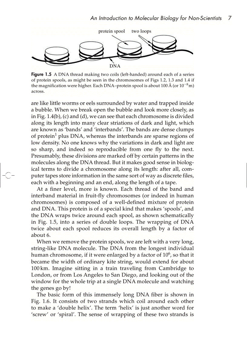 image for page Understanding DNA The Molecule and How It Works 3rd ed