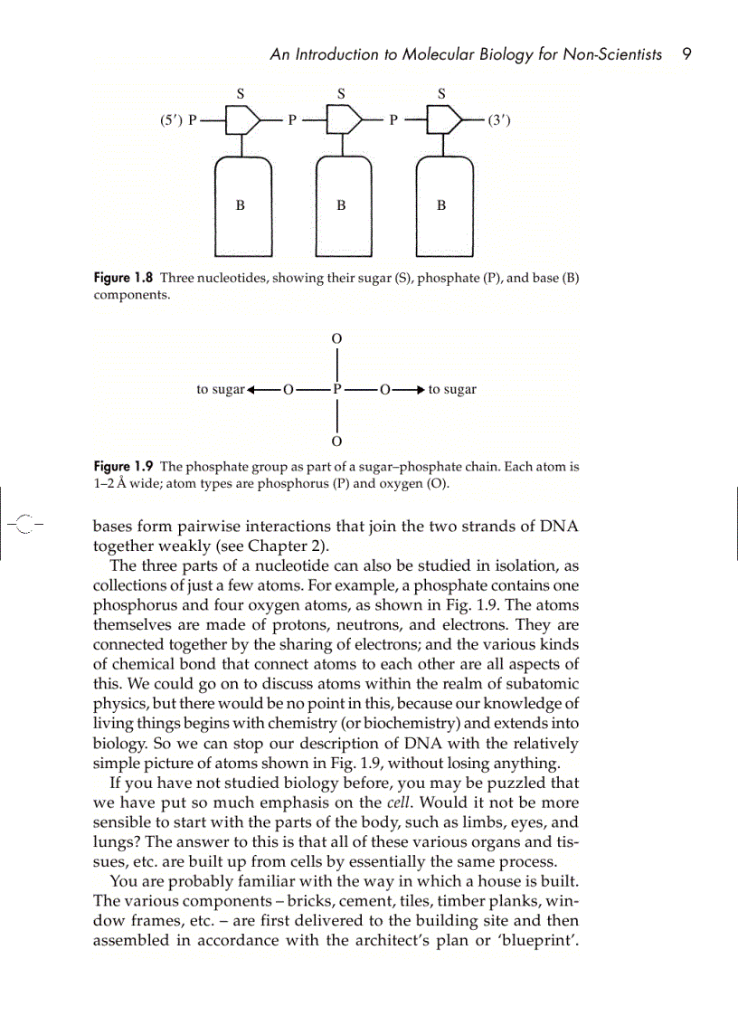 image for page Understanding DNA The Molecule and How It Works 3rd ed