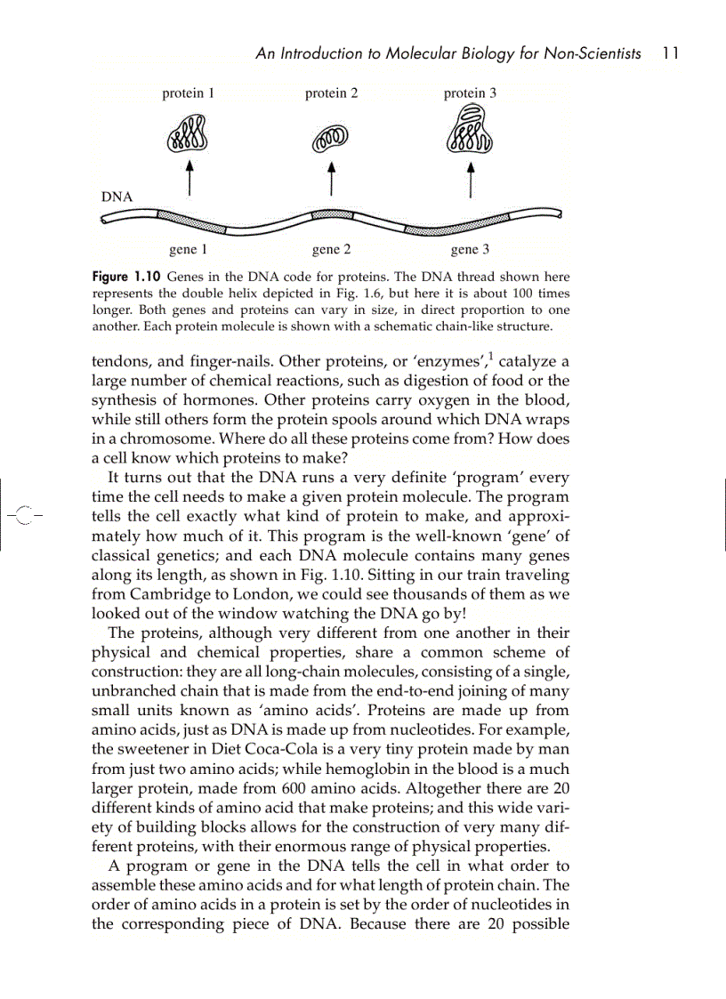 image for page Understanding DNA The Molecule and How It Works 3rd ed
