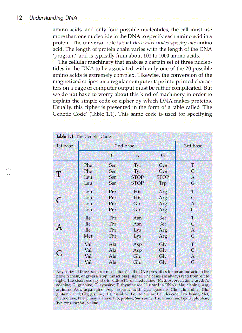 image for page Understanding DNA The Molecule and How It Works 3rd ed