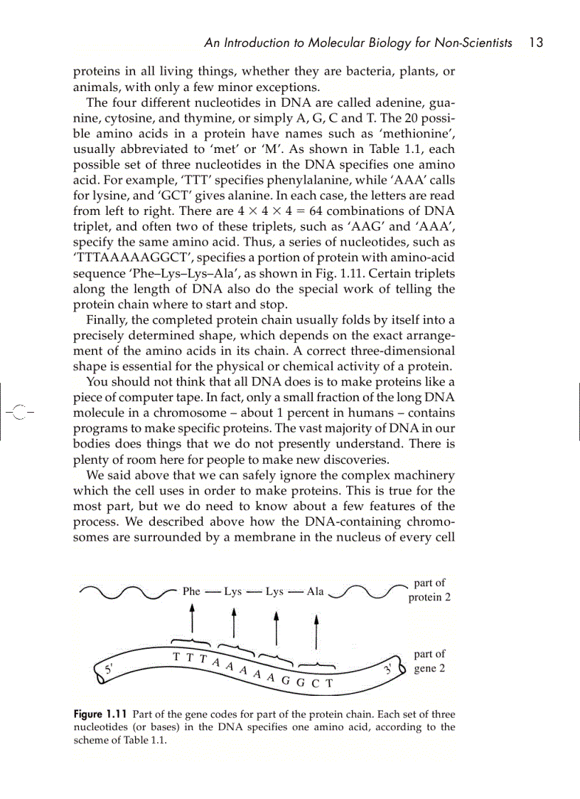 image for page Understanding DNA The Molecule and How It Works 3rd ed