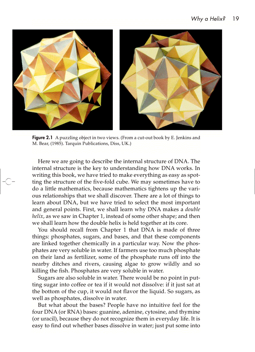 image for page Understanding DNA The Molecule and How It Works 3rd ed