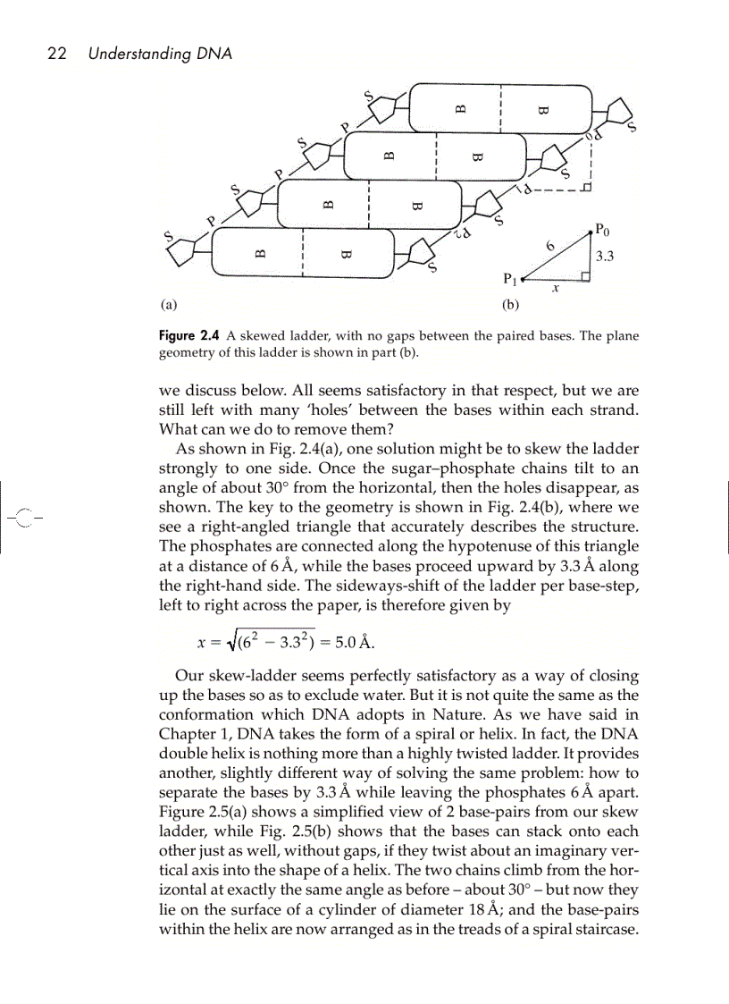 image for page Understanding DNA The Molecule and How It Works 3rd ed