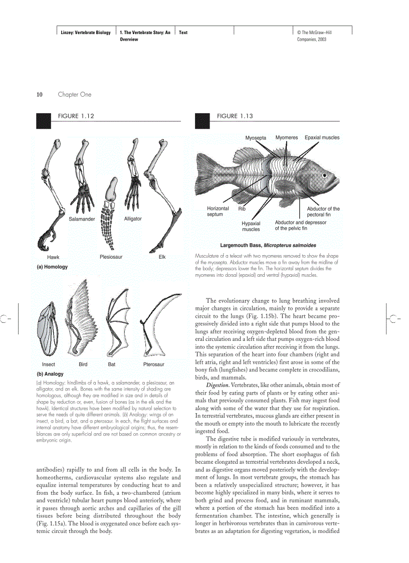 image for page Vertebrate Biology