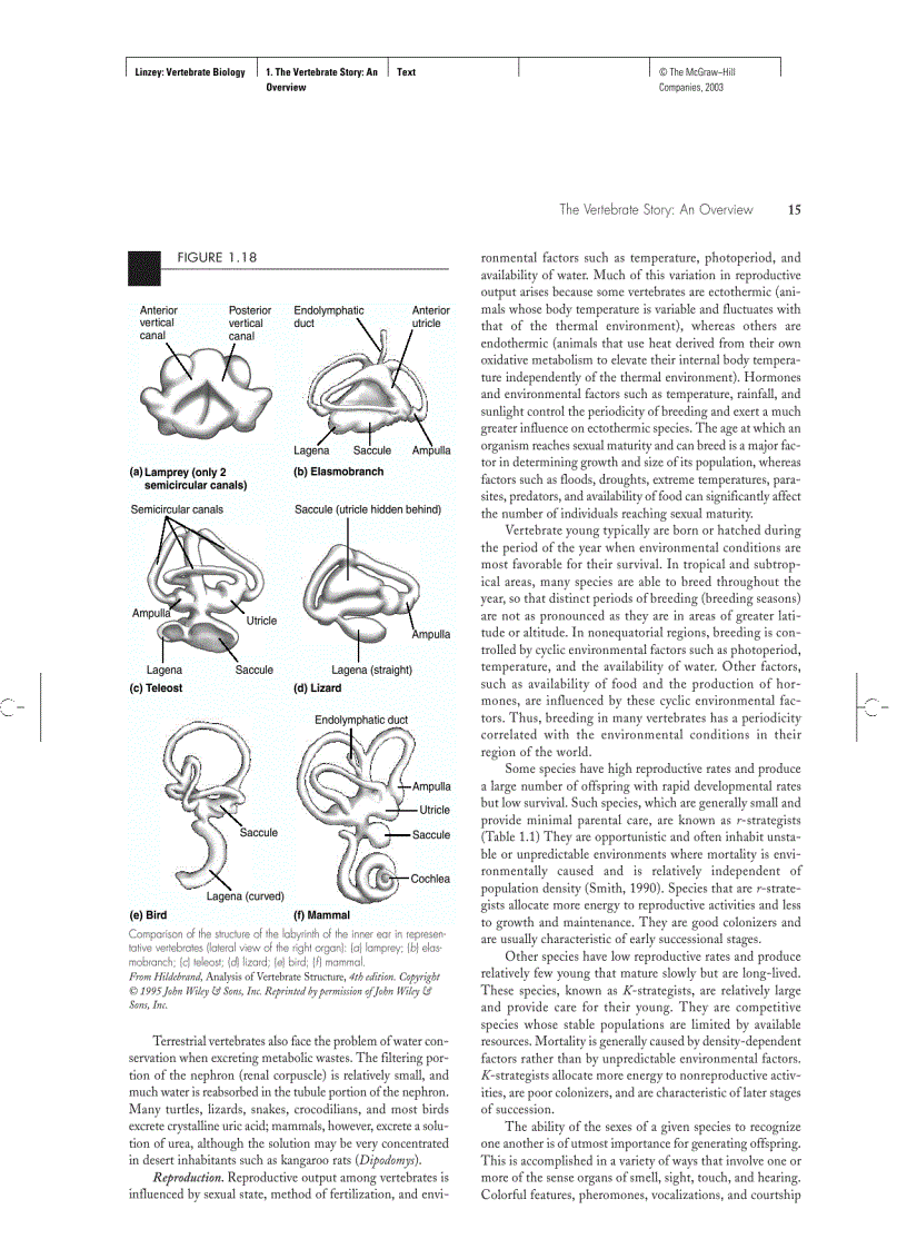 image for page Vertebrate Biology