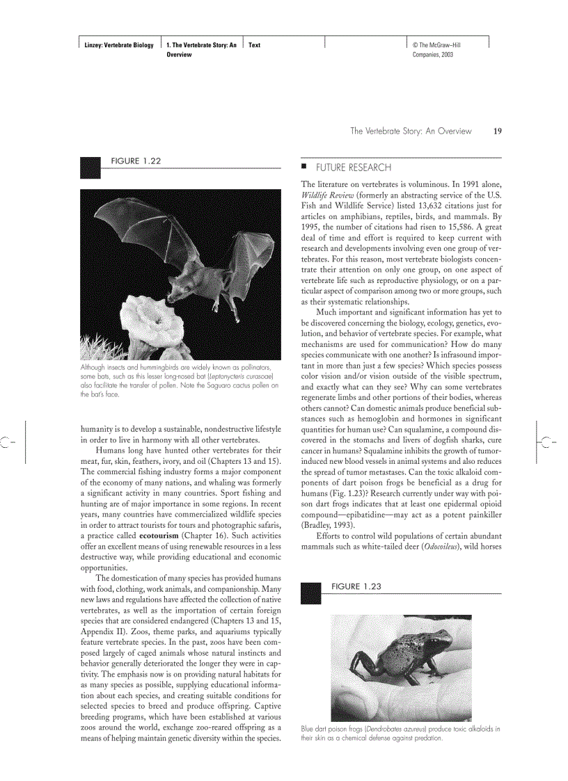 image for page Vertebrate Biology