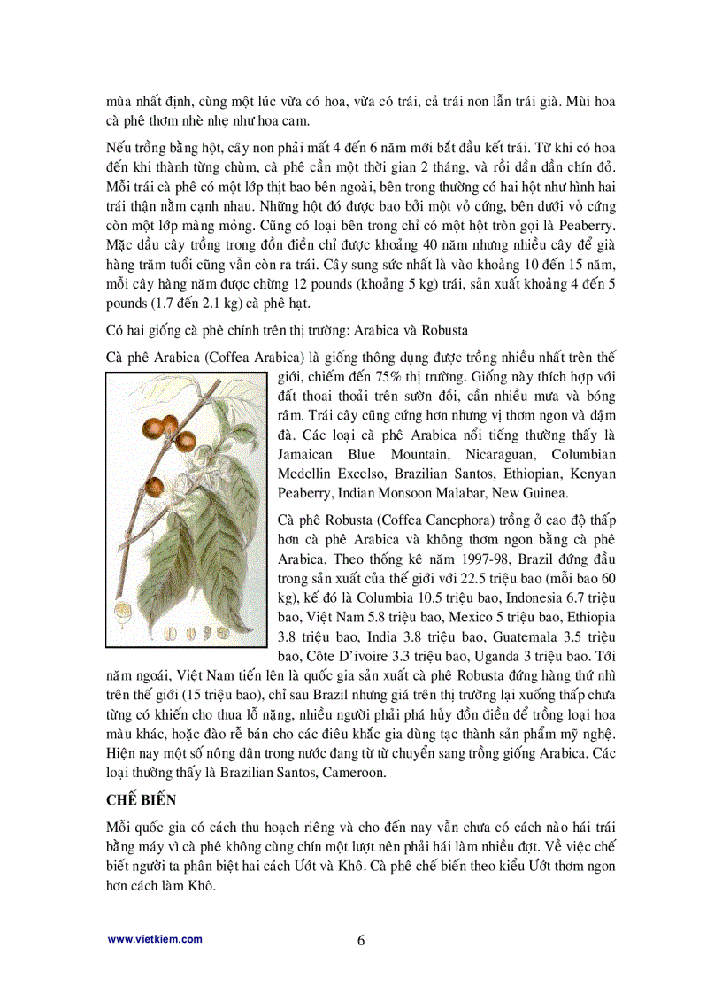 image for page Cà phê