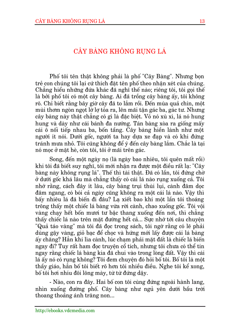 image for page Cây Bàng Không Rụng Lá 1