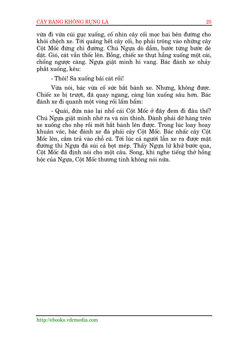 image for page Cây Bàng Không Rụng Lá 1