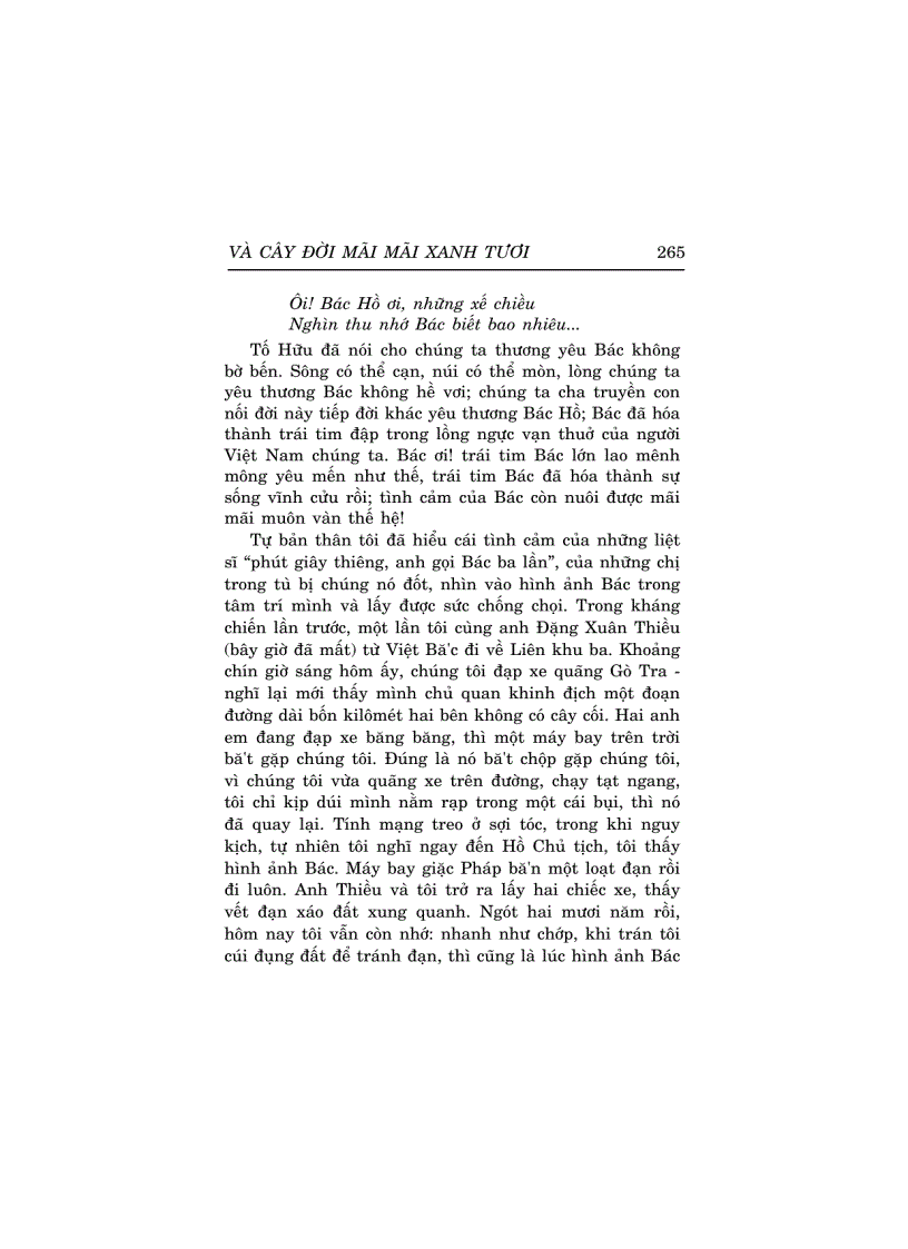 image for page Và Cây Đời Mãi Mãi Xanh Tươi