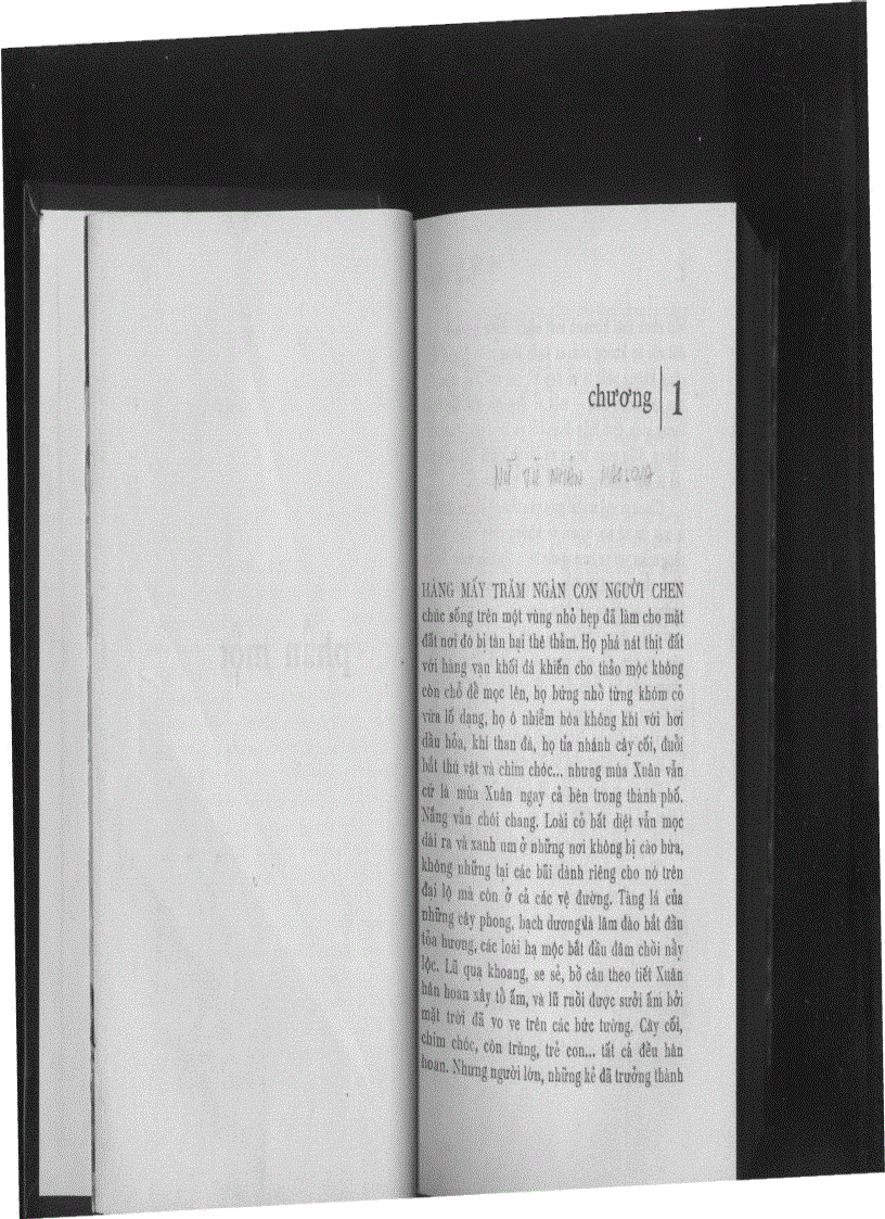 image for page Vùng Đất Hồi Sinh