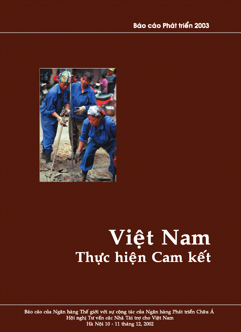 image for page Báo Cáo Phát Triển 2003