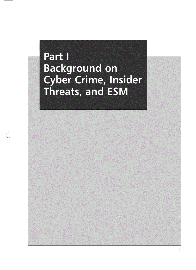 image for page Enemy at the Water Cooler Real Life Stories of Insider Threats and Enterprise Security Management Countermeasures