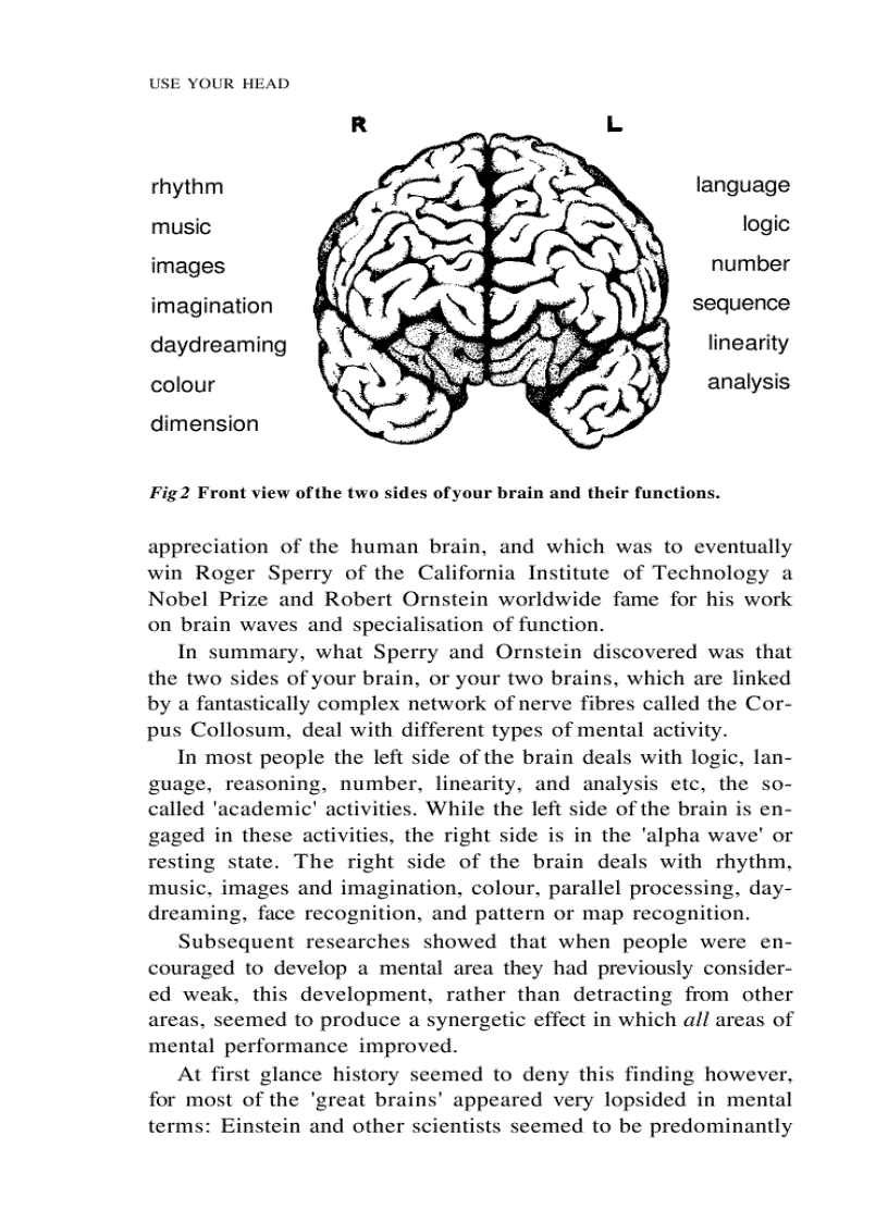 image for page Use Your Head