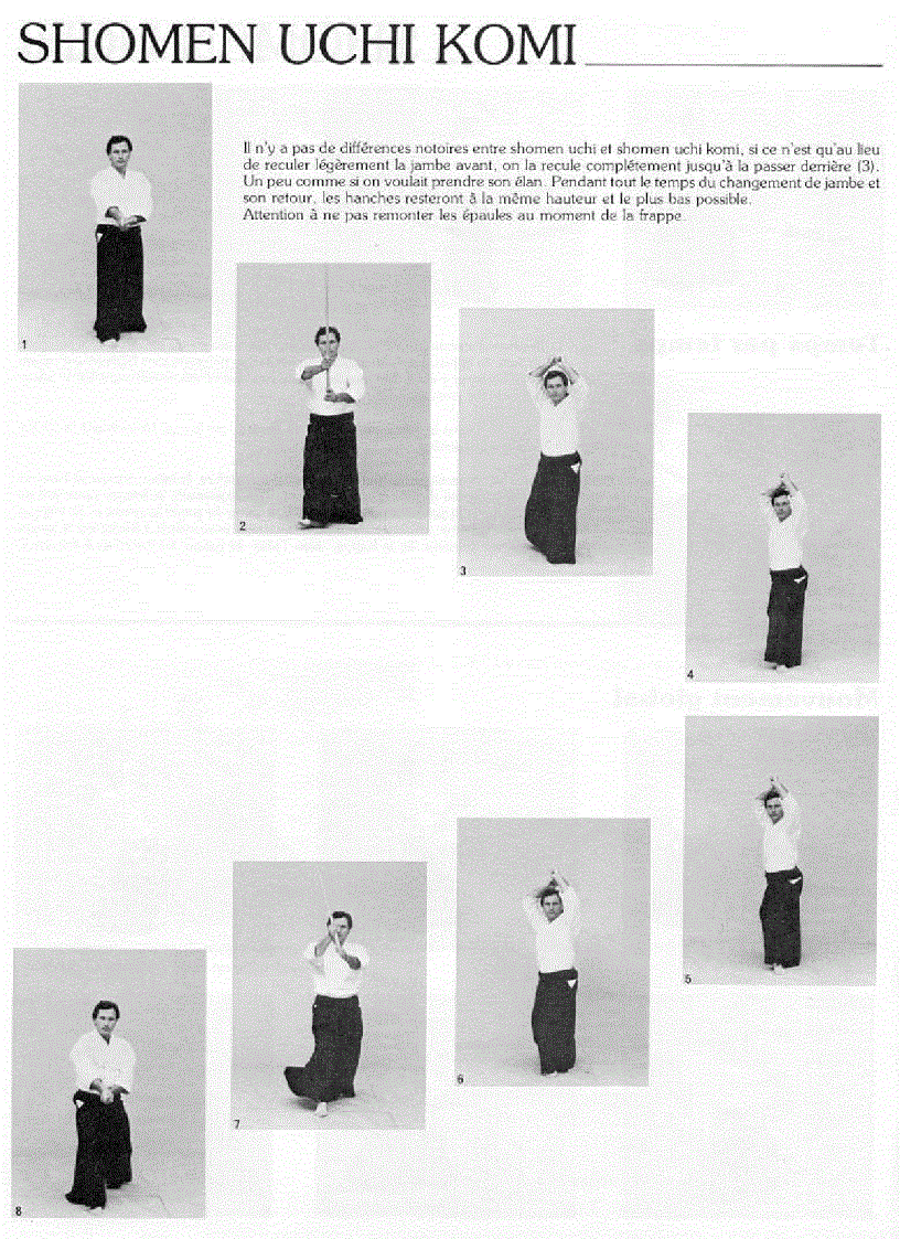image for page Christian Tissier Aikijo Techniques de baton