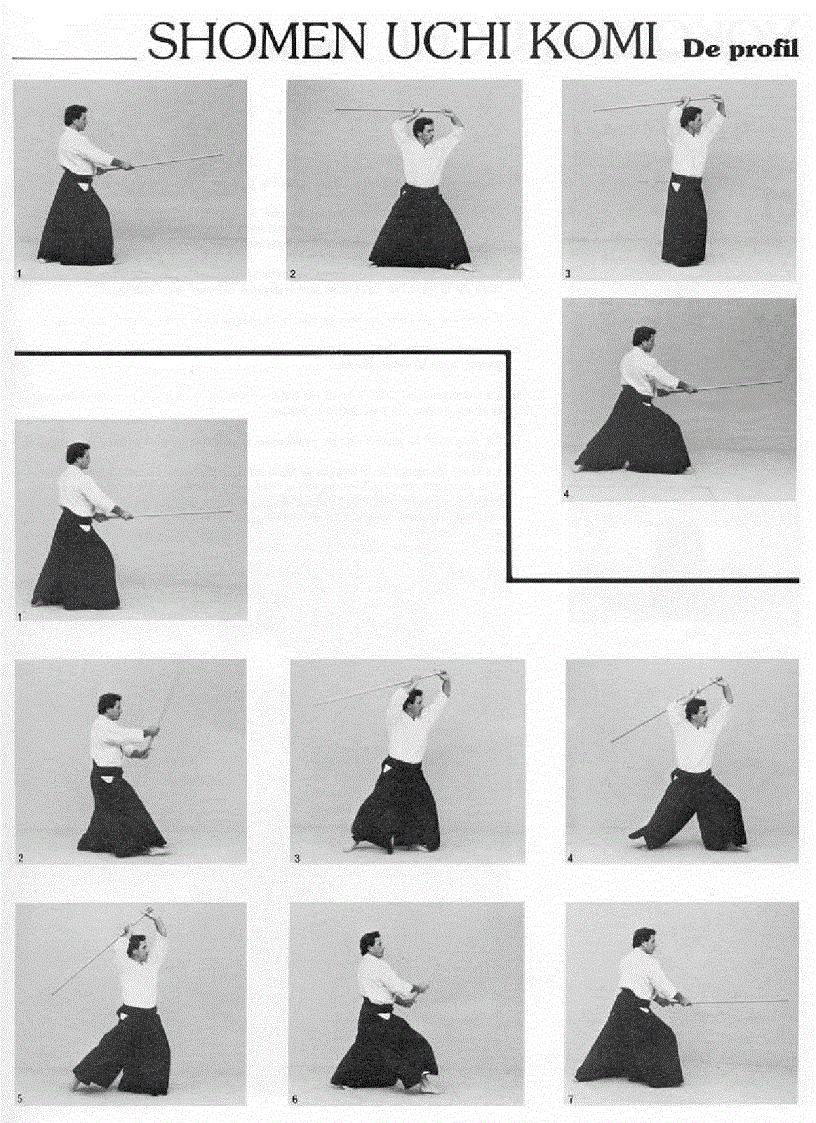 image for page Christian Tissier Aikijo Techniques de baton