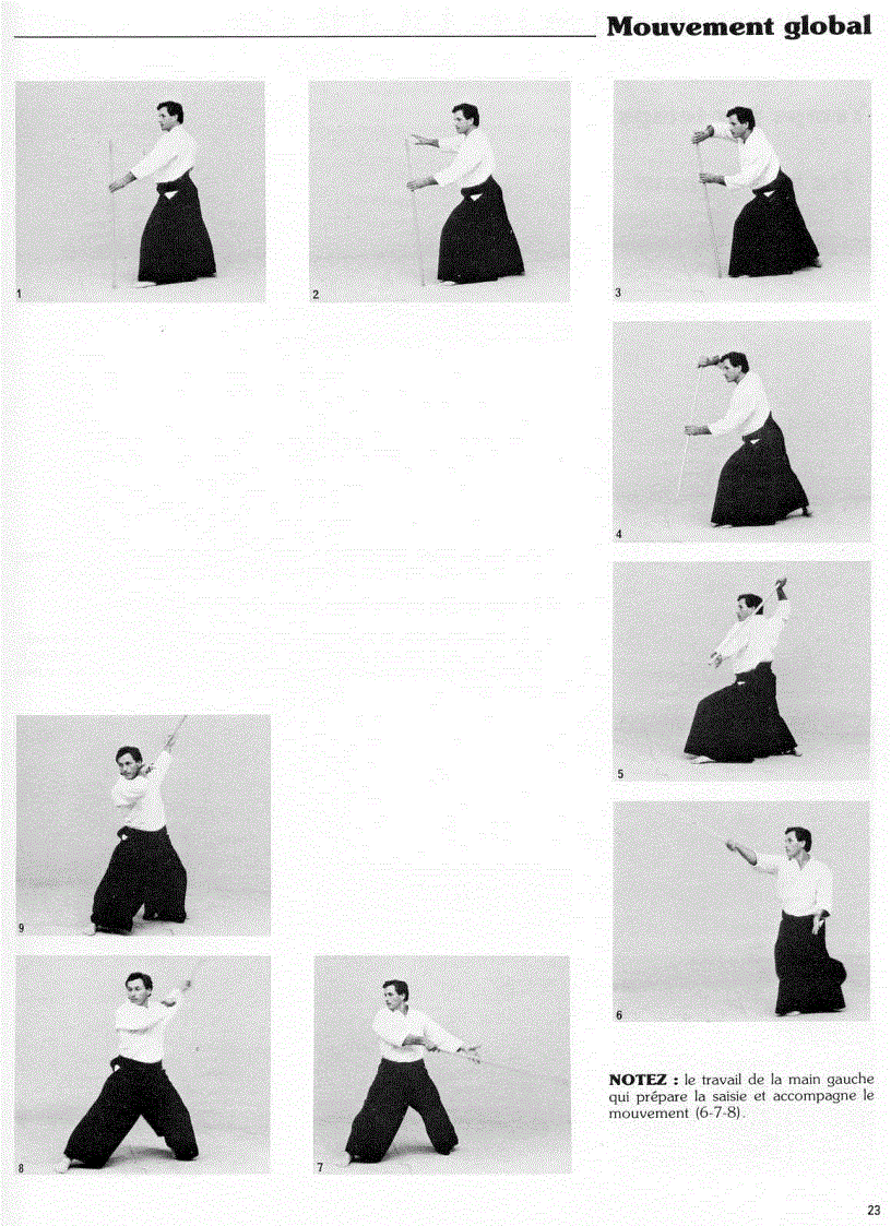 image for page Christian Tissier Aikijo Techniques de baton