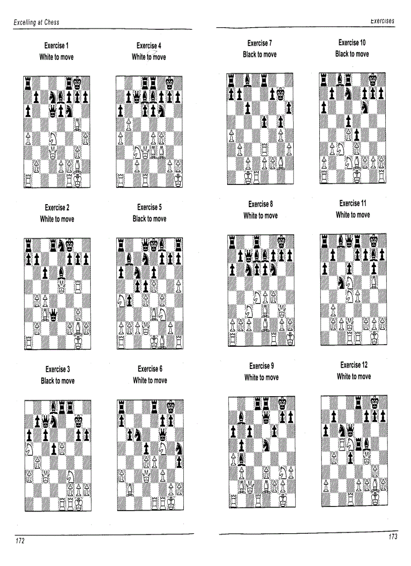 image for page Excelling at Chess Everyman Chess