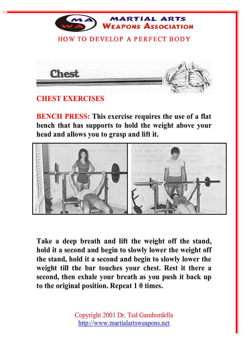 image for page How To Develope A Perfect Body