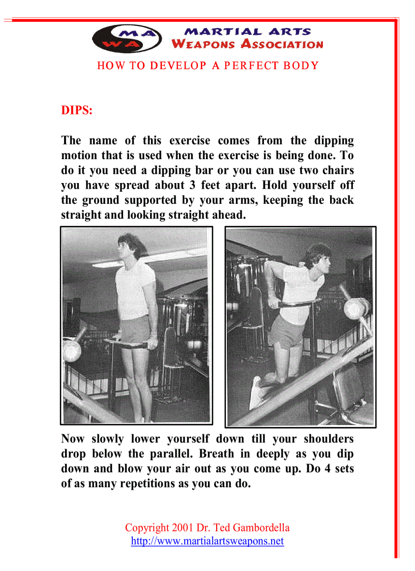 image for page How To Develope A Perfect Body