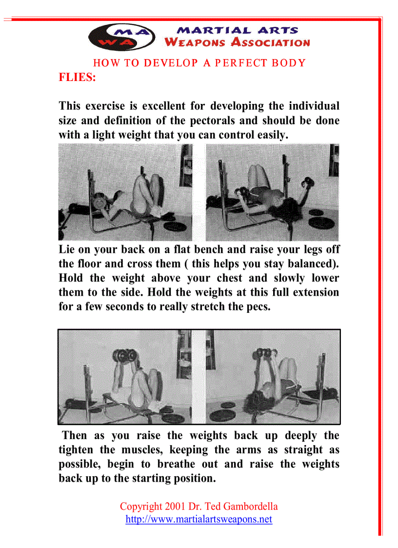 image for page How To Develope A Perfect Body