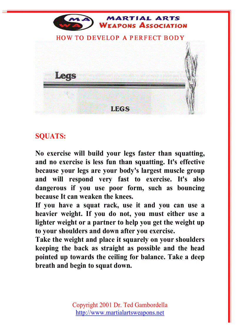 image for page How To Develope A Perfect Body