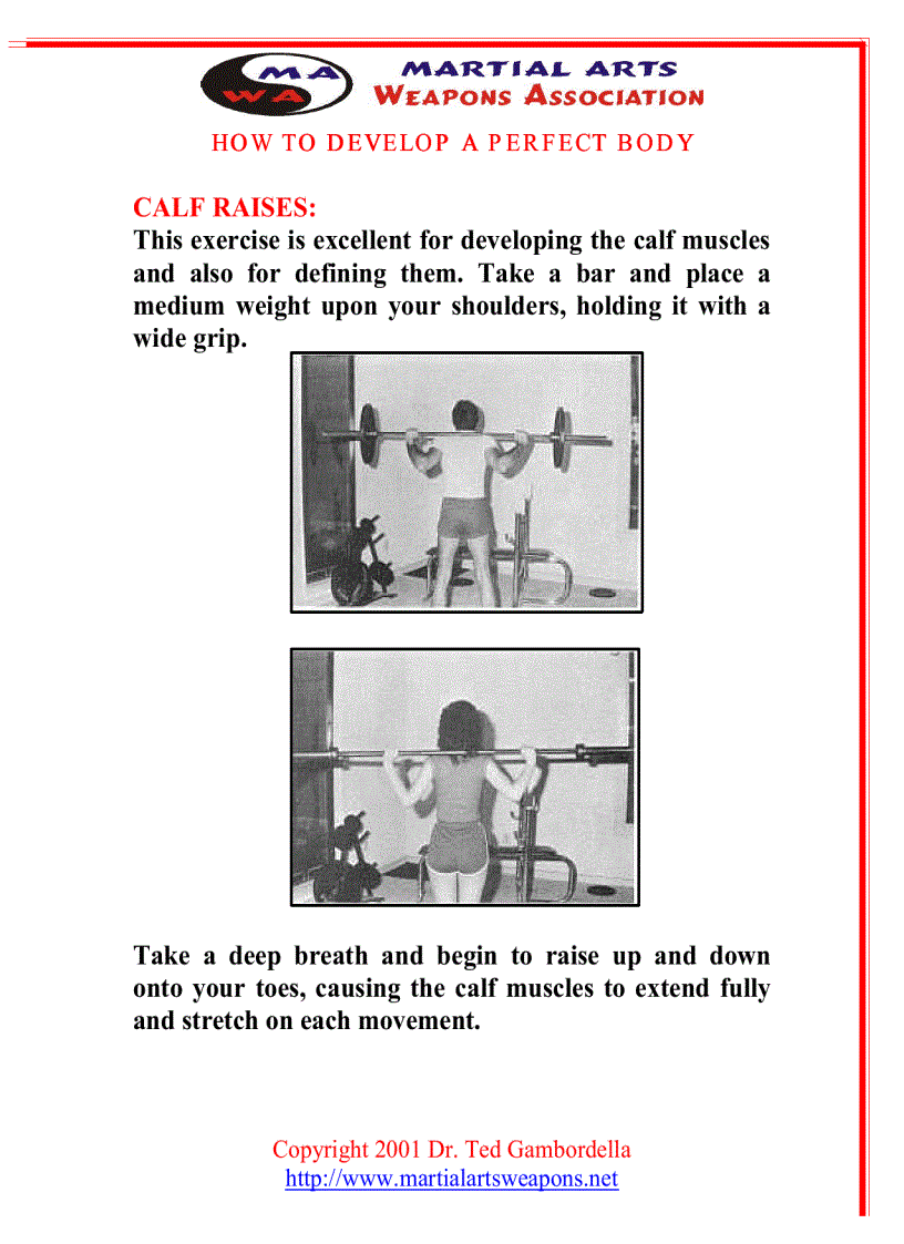 image for page How To Develope A Perfect Body